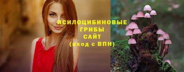 тгк Вязьма