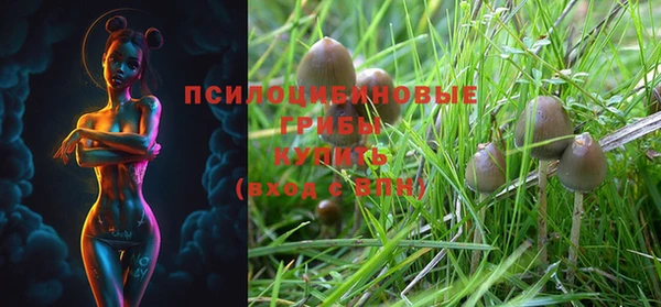 кристаллы Вяземский
