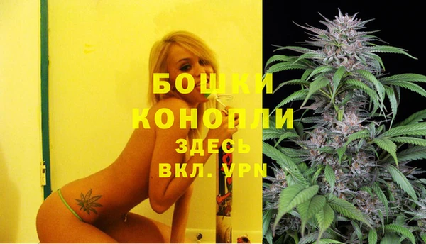 дмт Тихвин